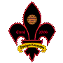 金澤薩維根